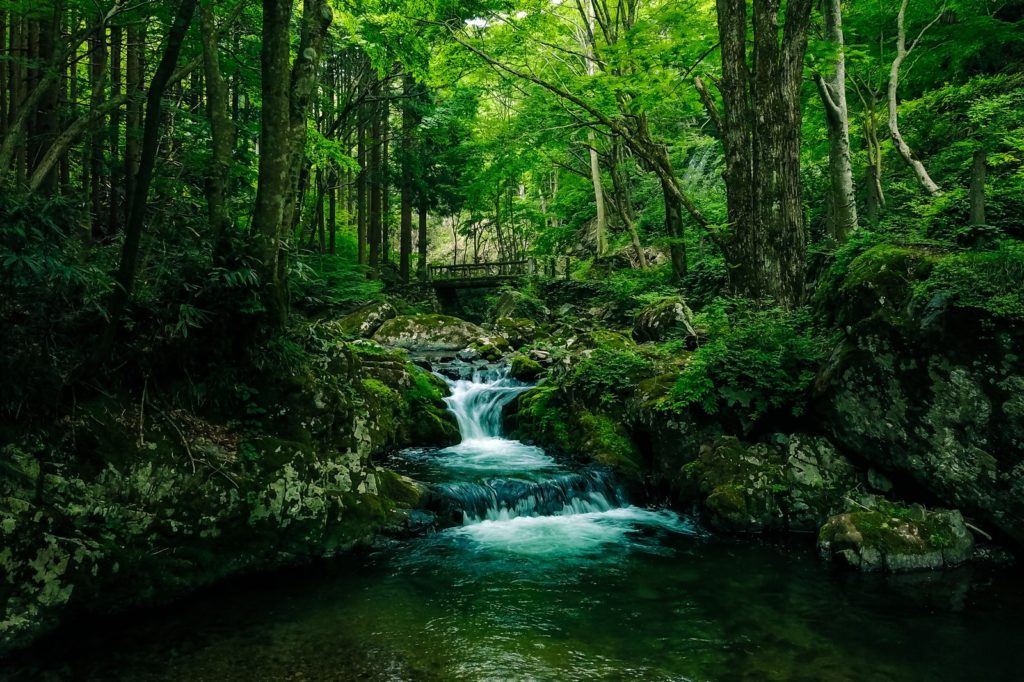 植物工場で使う栽培資材について①　液肥選びと調合方法