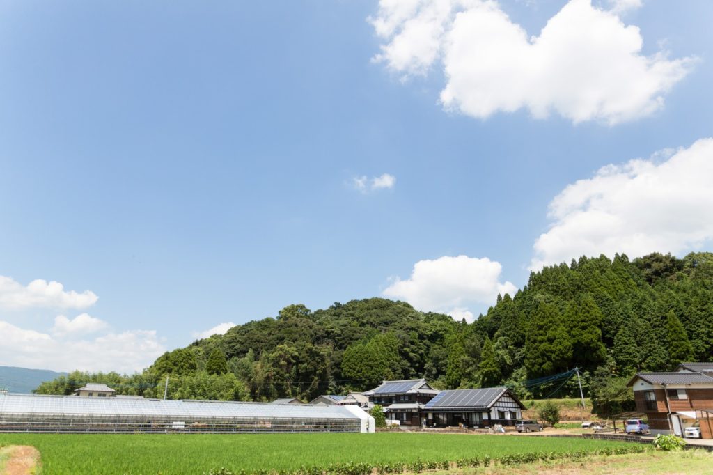 ヤフーのTOPニュースに農業生産システムの記事